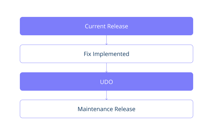 UDO usage scenario in SAP ABAP.