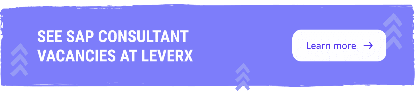 See all SAP Consultant vacancies at LeverX