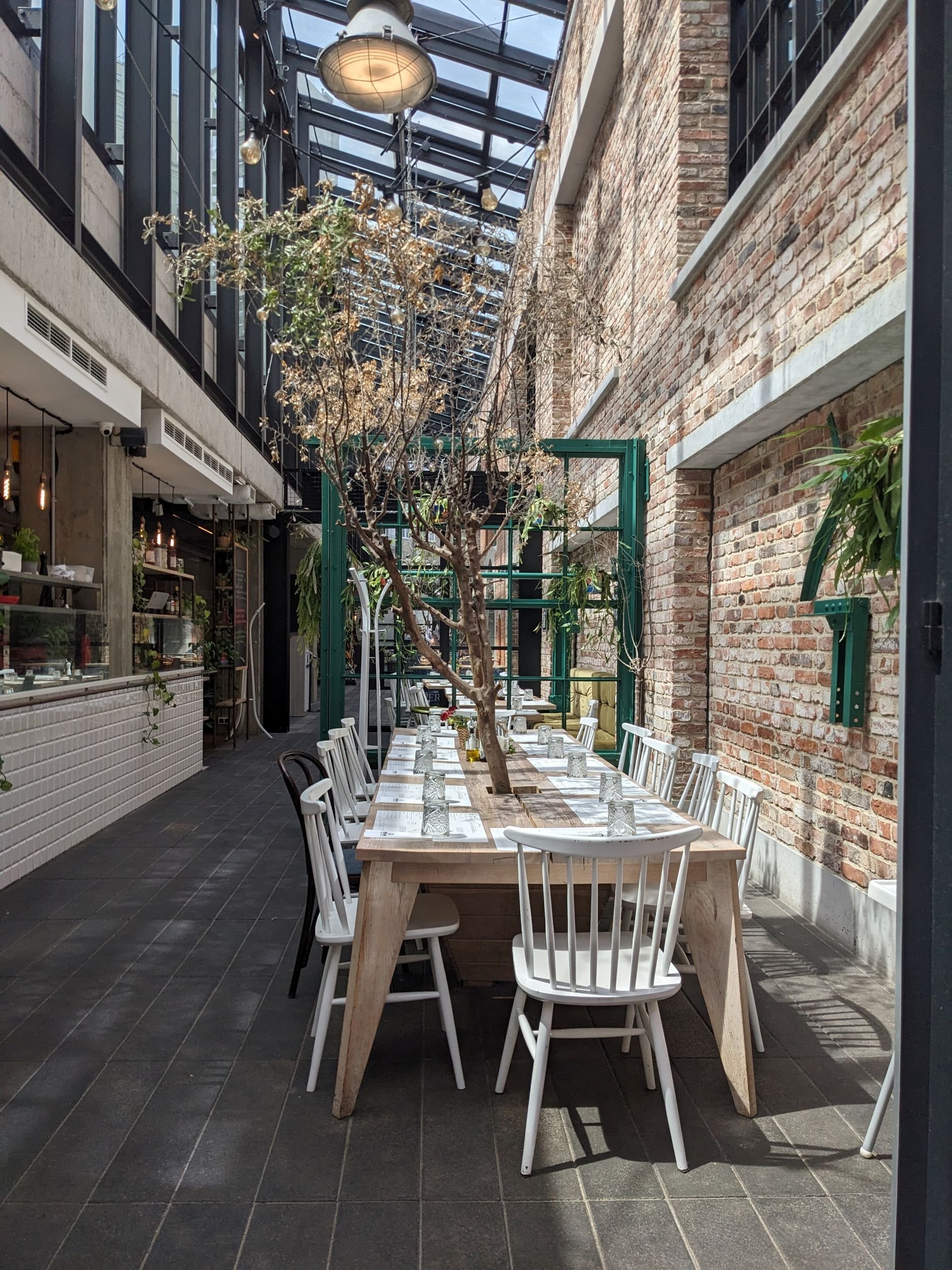 PXL_20240614_103129743