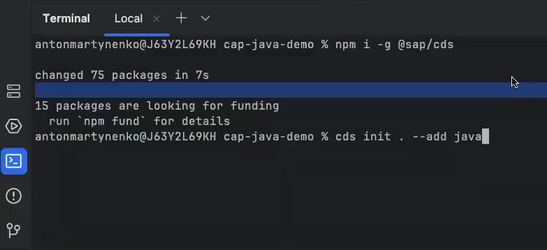 SAP CAP project. CDS initialization.