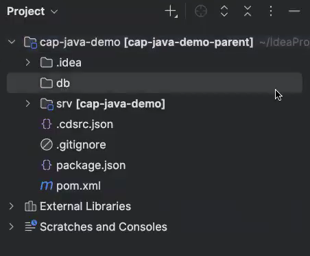 SAP CAP project. Creating a CDS file schema.cds.